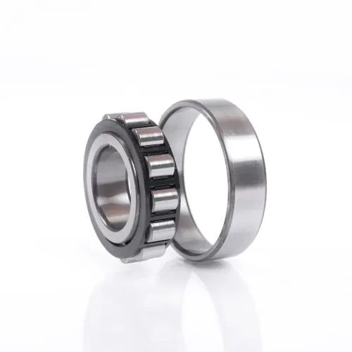 SKF bearing N317 ECM, 85x180x41 mm | Tuli-shop.com
