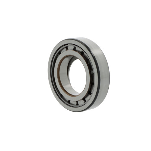 NSK bearing NUP304 W, 20x52x15 mm | Tuli-shop.com