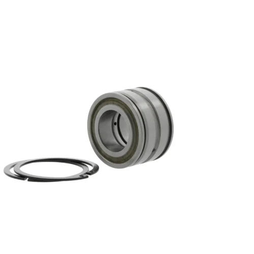 INA bearing SL045008-PP-2NR, 40x68x38 mm | Tuli-shop.com