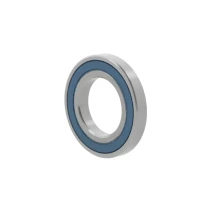 NTN bearing 6016 LLU/5K, 80x125x22 mm | Tuli-shop.com