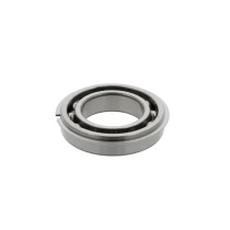 NSK bearing 6016 NR, 80x125x22 mm | Tuli-shop.com
