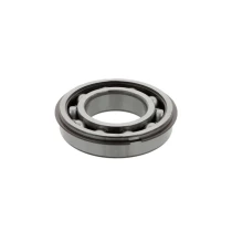 NSK bearing 6020 ZNR, 100x150x24 mm | Tuli-shop.com