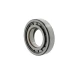 NSK bearing NUP309 EWC3, 45x100x25 mm | Tuli-shop.com
